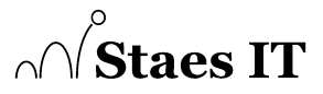 Staes IT logo
